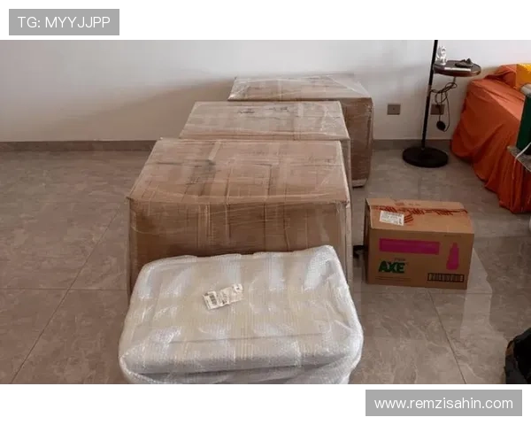 博乐真人官网网站客服服务与技术支持的全面指南